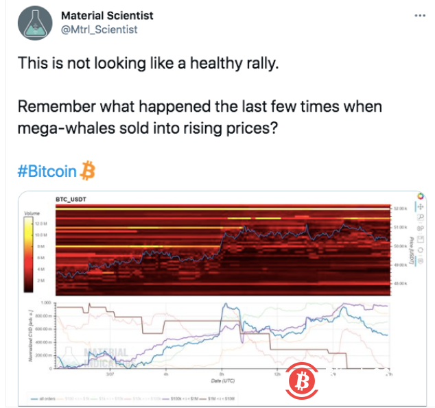  美国散户投资者更看好Cardano而非比特币 比特币鲸鱼正大举“逢低买入”