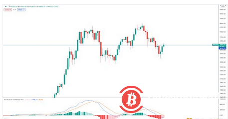 BTC反弹趋势仍在进行中