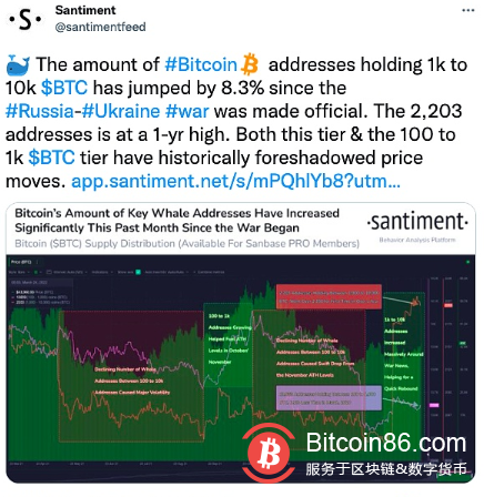  数据：自乌俄战争以来，持有1千至1万枚BTC地址数增长8.3% 